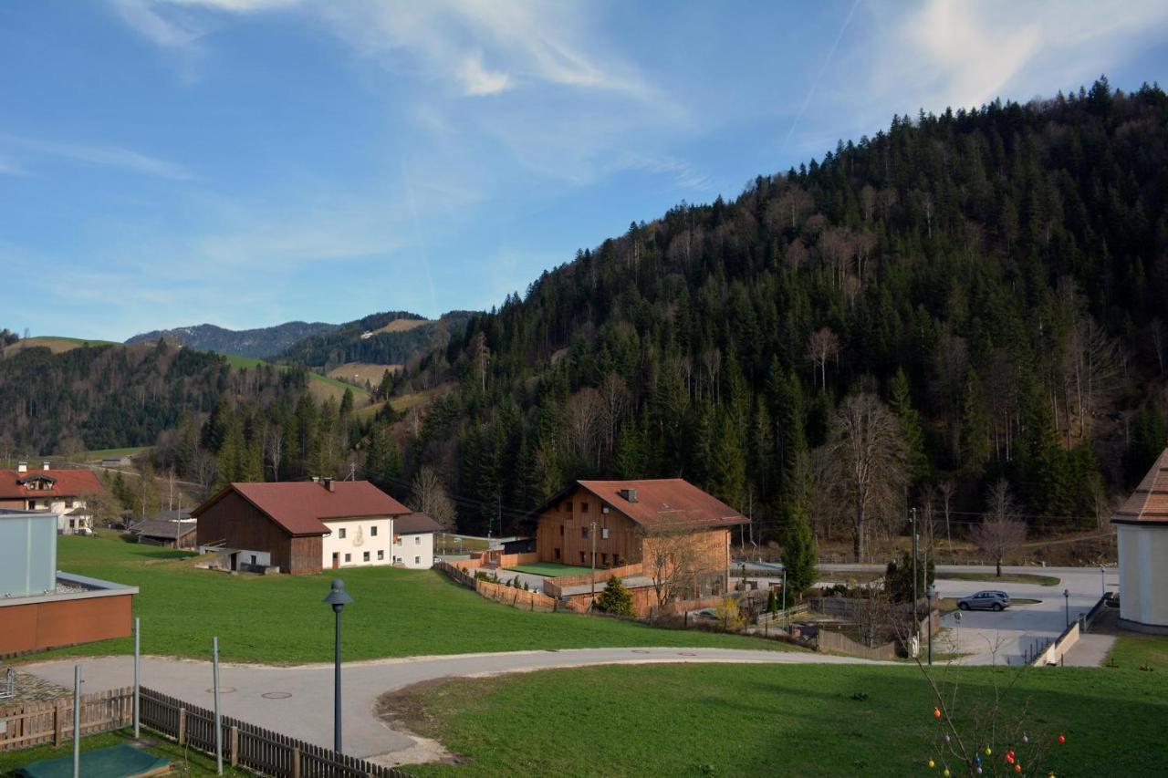 Апартаменты Gaestehaus Lina Тирзе Экстерьер фото